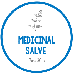 Eden Village Camp logo featuring a plant illustration and "Medicinal Salve" text, highlighting sustainable, eco-friendly camping experiences and community building.